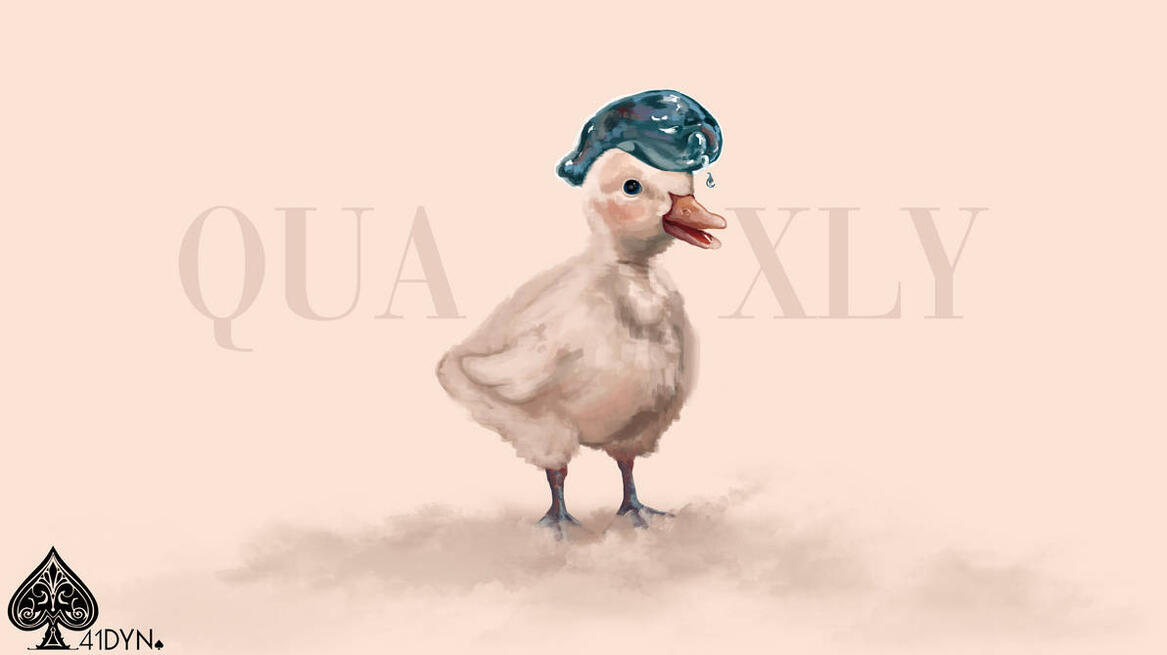 11.2022 Quaxly